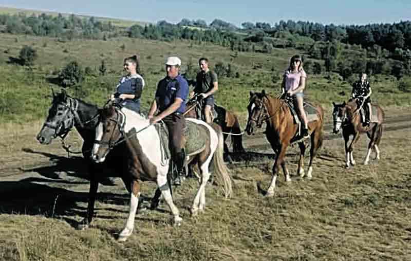Унікальні екскурсії на конях влаштовує подружжя з Вінниччини