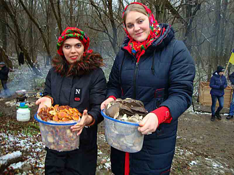 Зимові гриби на Новий рік – опеньки і лисички збирають на Вінниччині