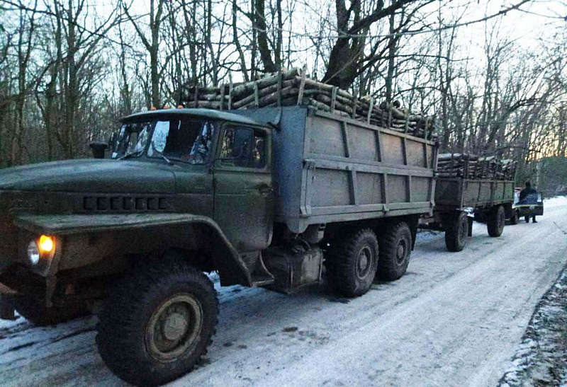 Дві вантажівки незаконно перевозили деревину