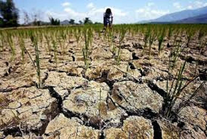 Україні загрожує серйозна посуха у 2021-му