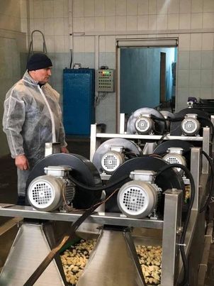 На Вінниччині запрацював єдиний у Східній Європі завод з переробки часнику