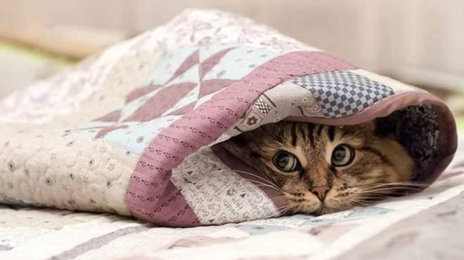 Скільки триватиме потепління?