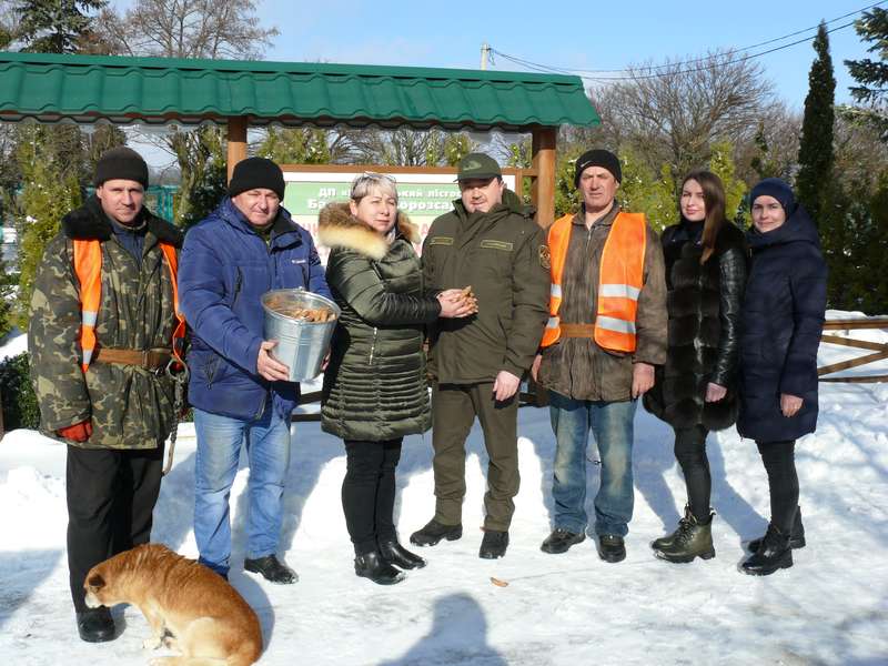 Зимовий урожай. Понад 25 тонн шишок планують зібрати взимку лісівники ДП «Гайсинський лісгосп», аби отримати у майбутньому якісні посіви хвойних порід