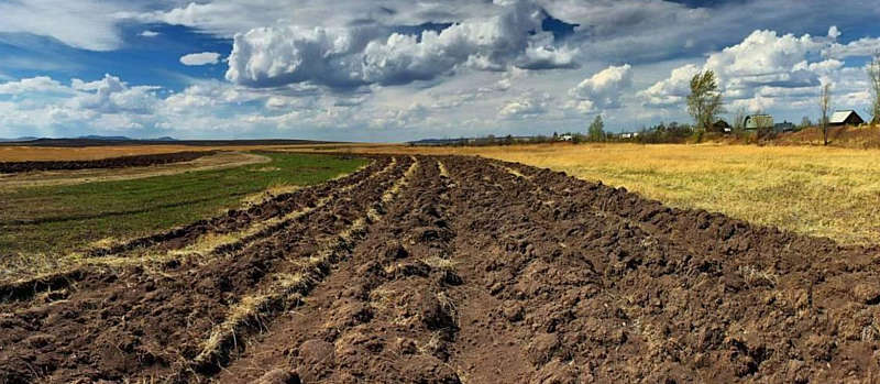 Землевпорядниця сільради надала державі збитків на 400 тис. грн.