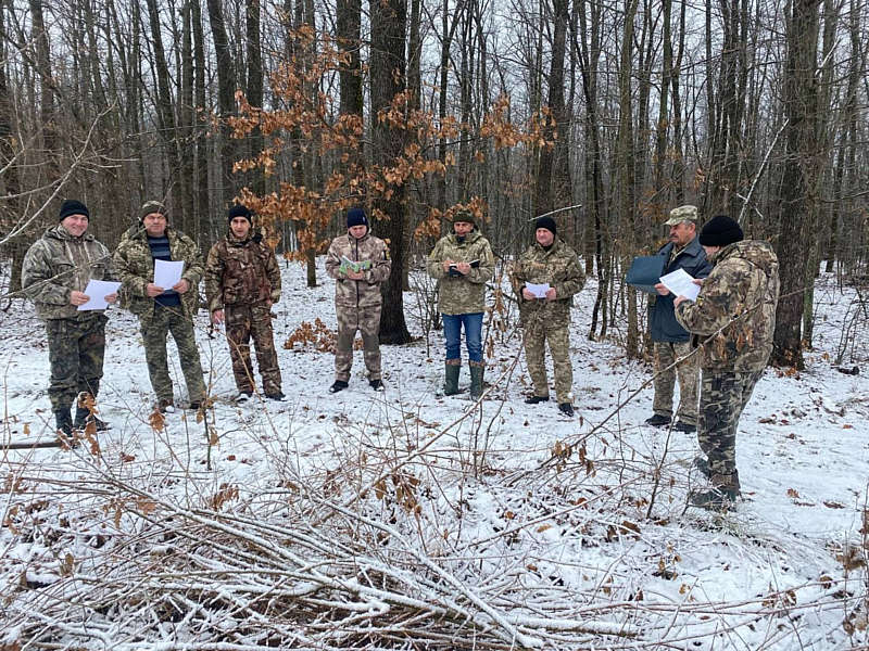 У Крижопільському лісгоспі розпочався облік диких тварин. За слідами на снігу вже визначили, що вовків стало більше…