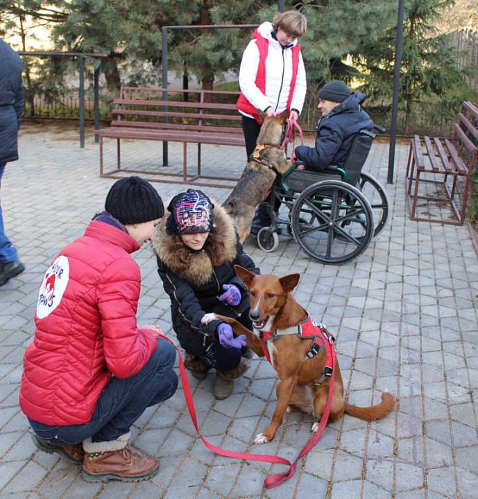 У Вінниці з пенсіонерами працюють собаки-терапевти