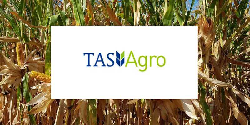 Компанія «ТАС Агро» виплатила пайовикам майже 290 мільйонів гривень за оренду земельних паїв у 2020 році