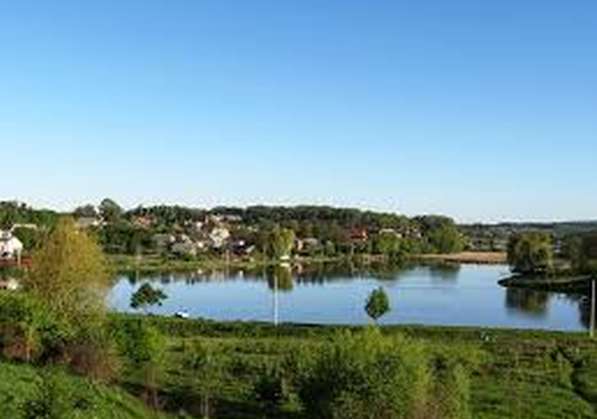 Повернули вкрадений ставок у Якушинцях