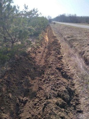 Захисні смуги рятують ліси від вогню