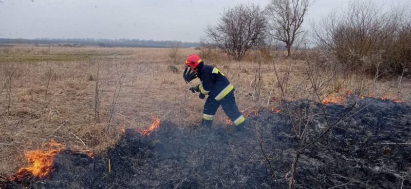 На Вінниччині вогнем знищено 235 гектарів