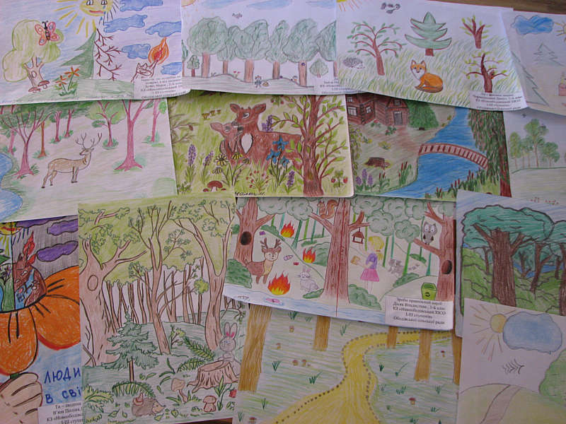 Бершадські лісівники визначили переможців І етапу конкурсу на кращий дитячий малюнок та твір на тему «Людина і ліс»