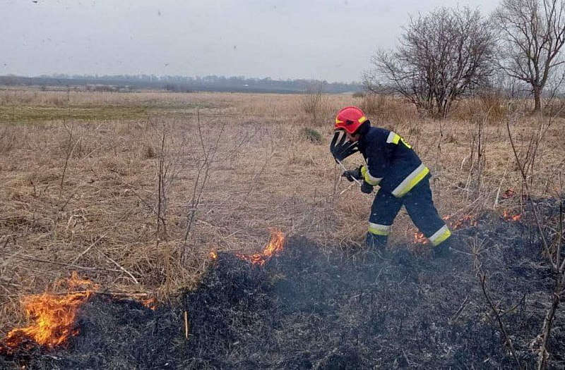 На Вінниччині за добу пожежа знищила 17 гектарів сухої трави