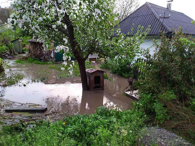 Потоп у Жмеринці… Злива підтопила 6 будинків та 8 городів