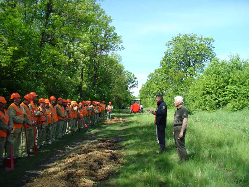 У Крижопільському лісгоспі проведено спільні навчання з гасіння лісової пожежі