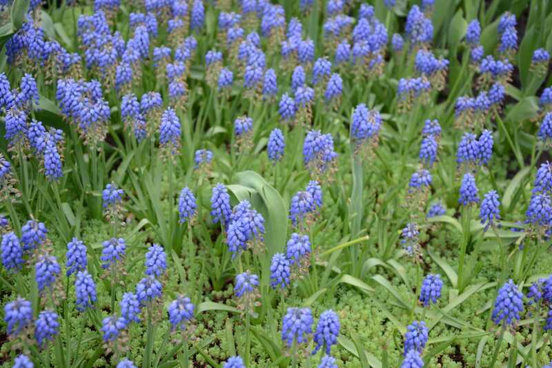 Вінниця у кольорі (фоторепортаж)