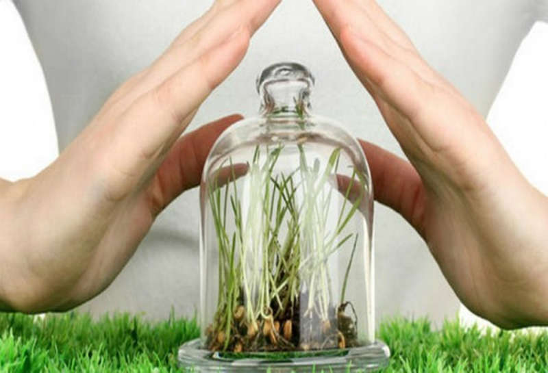 Біоліки для саду готує вінничанка