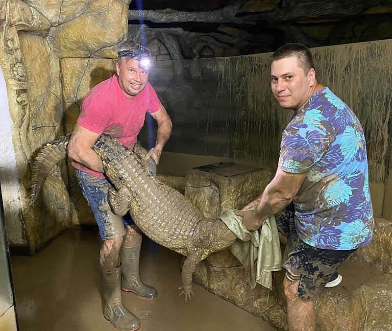 Крокодили покусали військового РФ після потопу в окупованій Ялті! «Геники» втекли із ферми та контролювали вулиці курорту… (відео)