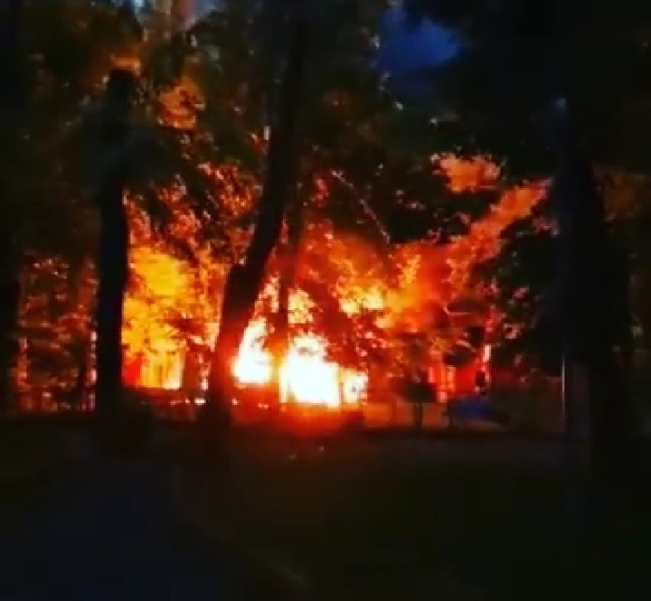 Пожежа у вінницькому парку ОНОВЛЮЄТЬСЯ
