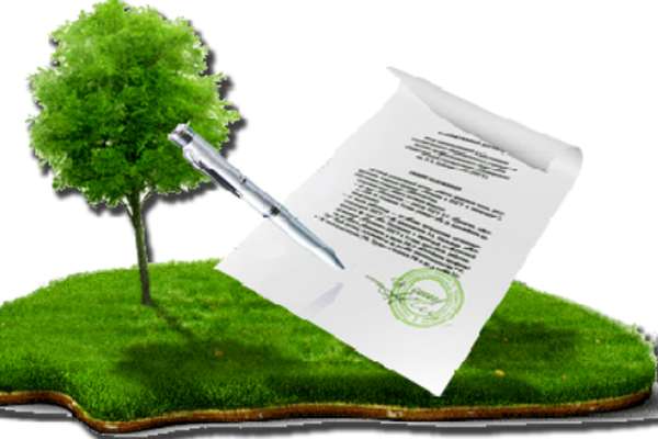 3 гектари спадщини землі від умерлої повернуто у власність громади