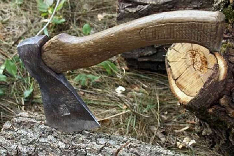 385 тис. грн збитків заплатять мешканці Шпиківської громади за знищені дерева