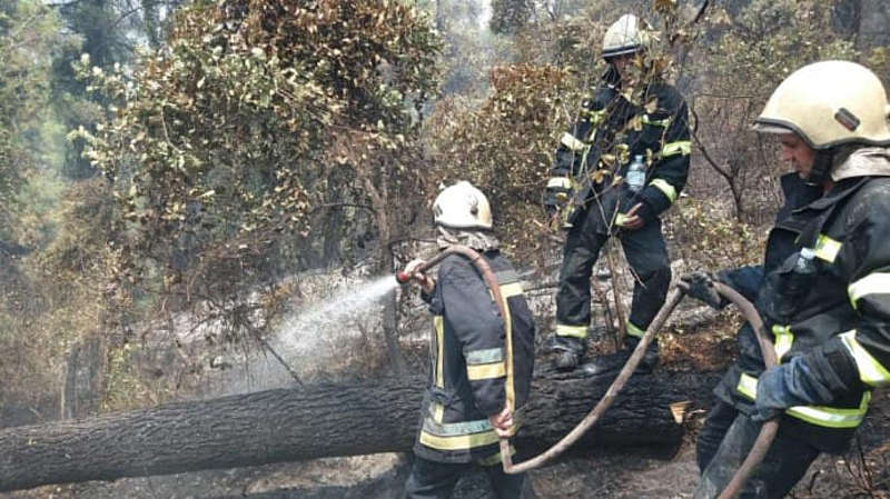 Дві пожежі в Греції гасили за добу українські пожежники. Українські вогнеборці продовжують надавати допомогу в гасінні масштабних лісових пожеж у Греції