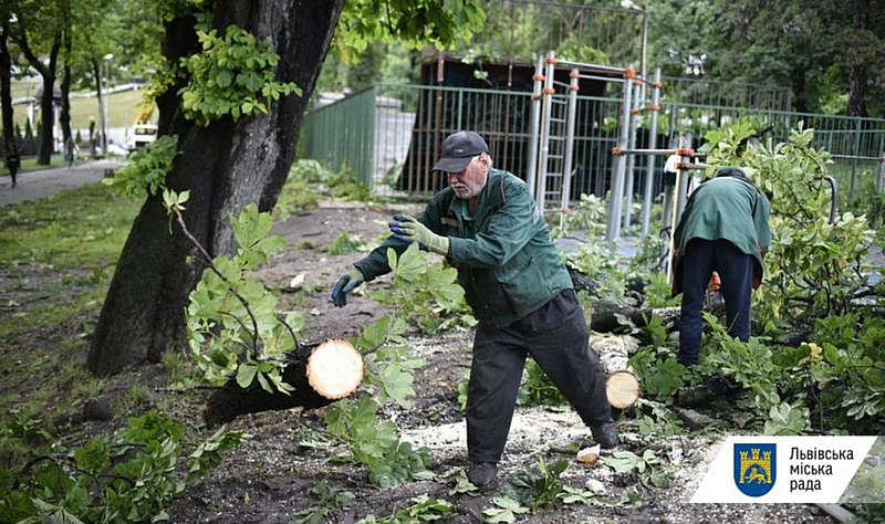 Курсант із Вінниці загинув у Львові під час буревію… На Андрія і його дівчину впало дерево в парку 