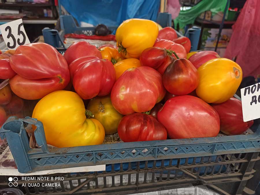Як вінничани вирощують та реалізовують домашні помідори