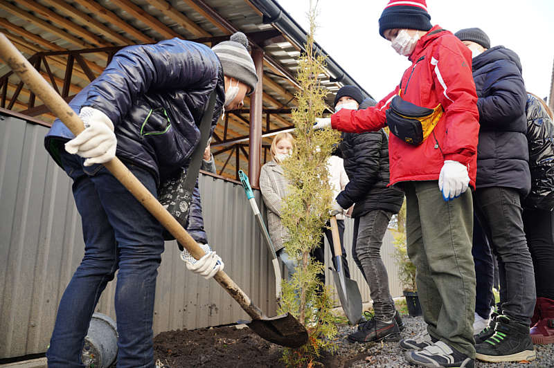 У рамках акції «Зелена хвиля» цієї осені у дворах вінницьких шкіл висадять більше 250 дерев
