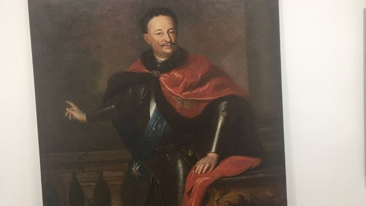 Портрет Потоцького повернувся до Вінниці