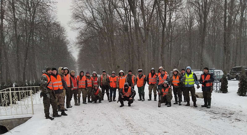 Чому варто зупинити нашестя вовків та лисиць