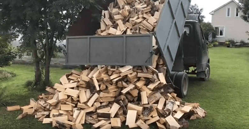 Чому дефіцит дров на Вінниччині?