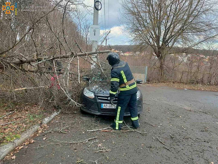 Новорічний «фокус» на Ботанічній у Вінниці! Дерево впало на «Форд»…  