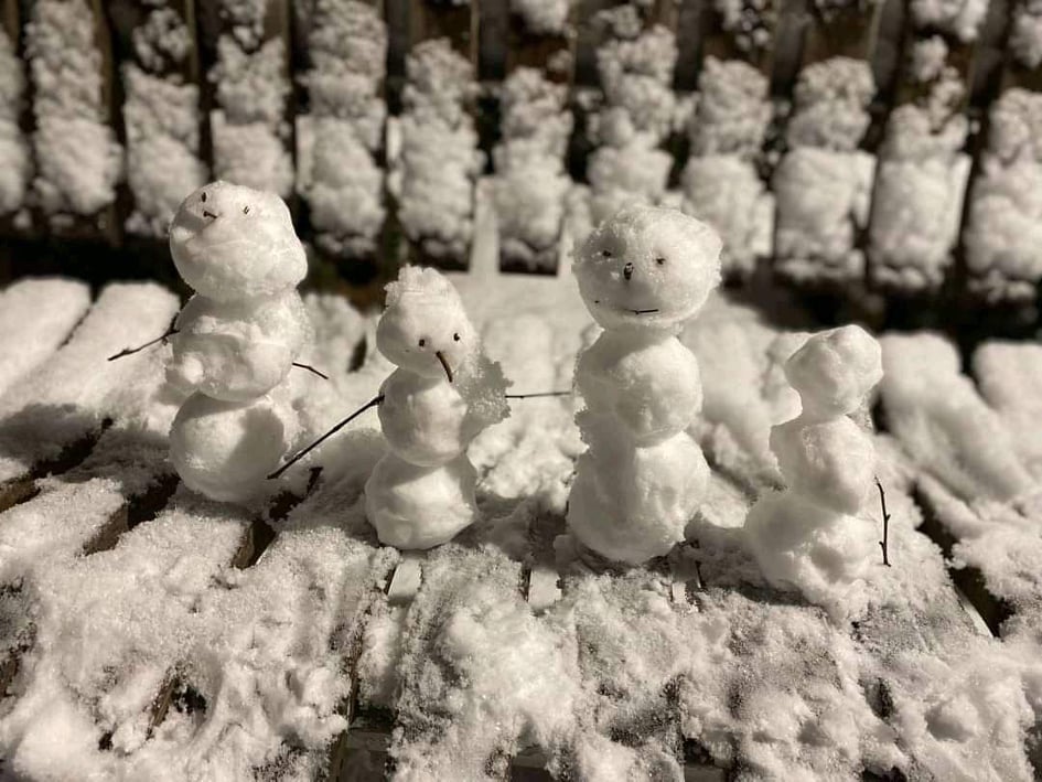 Парад сніговиків по всій Вінниці в найкрасивіший день цієї зими 9-го січня! (відео)