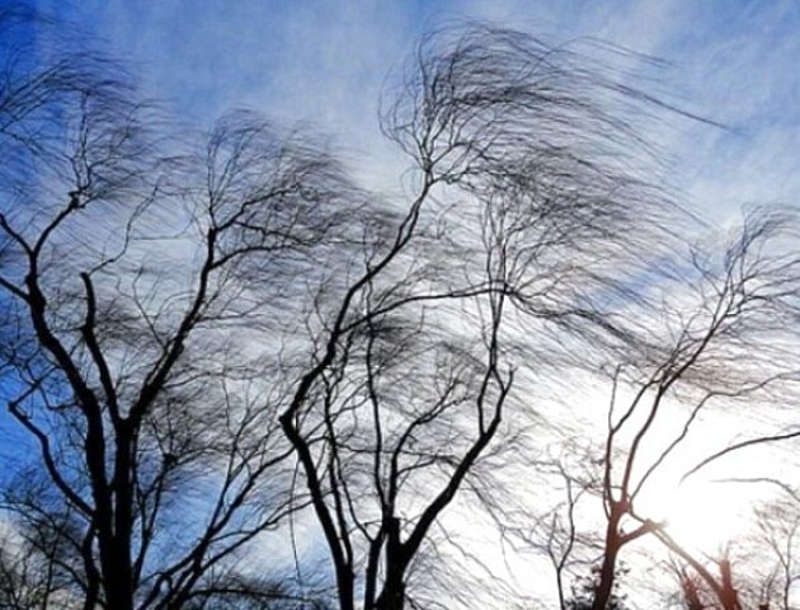 «Помаранчевий» рівень небезпеки оголосили у Вінниці через пориви вітру