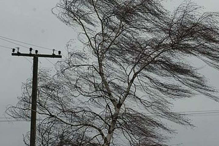 У Вінниці зберігається «жовтий» рівень небезпеки через сильні пориви вітру, вінничанам варто бути обережними