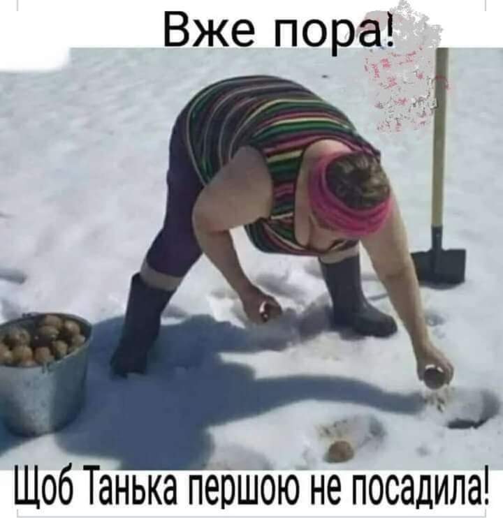 Анекдот дня