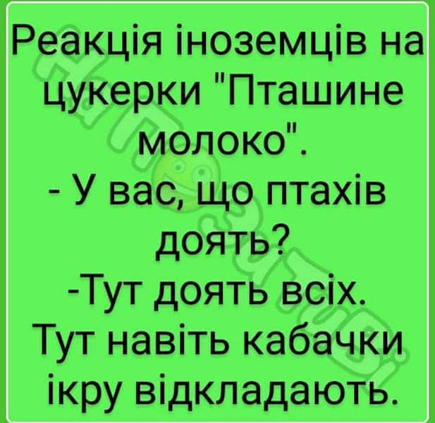 Анекдот дня