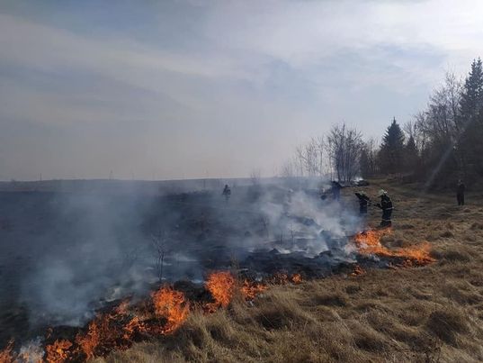 78 пожеж в екосистемах сталось за добу на Вінниччині