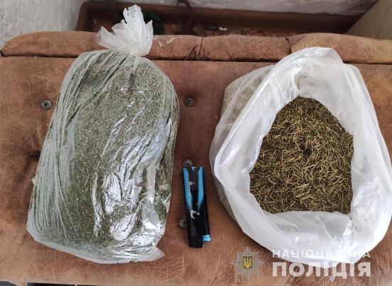 Міні-теплицю з вирощування наркотиків виявили в Калинівці