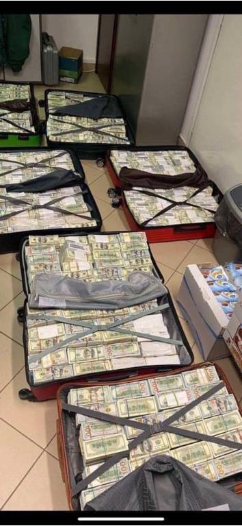 30 млн. доларів вивезла в Угорщину дружина екснардепа Котвіцького. Він – соратник Авакова