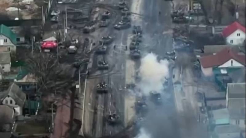 Zaжарені тигри хотіли в Україну (відео)