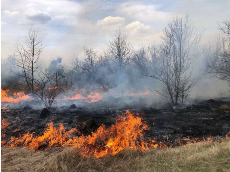 36 гектарів сухостою знищив вогонь на Вінниччині
