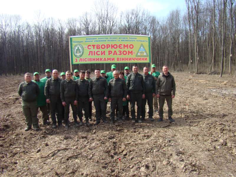 Щоденна праця лісівників Вінниччини – внесок у перемогу України