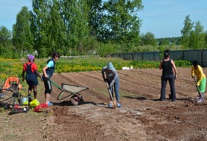 Уряд просить кожного українця засадити город. “Сади Перемоги” допоможуть уникнути проблем з продовольством