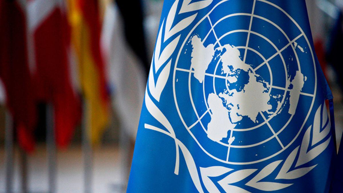 Повідомлення про не знайдений геноцид в Україні комісією ООН – російський фейк