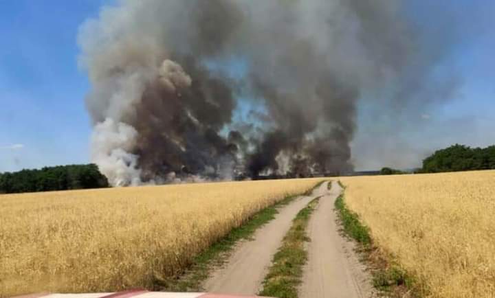 – Ось ціна хліба – вінницькі військові, які воюють на Миколаївщині, показали, як орки обстрілюють поля