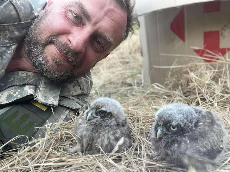 Маленькі совенята стали талісманчиком наших воїнів