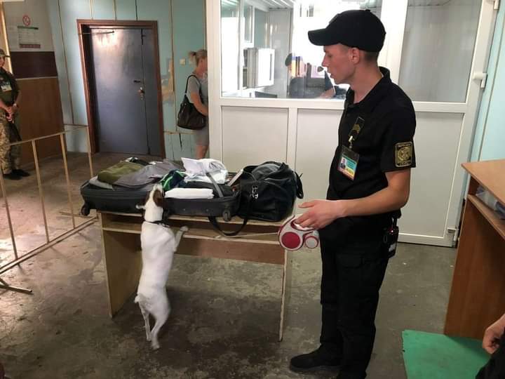 Собака Джосі знайшла наркотики у громадянина Молдови, який перетинав КПП «Могилів-Подільський»