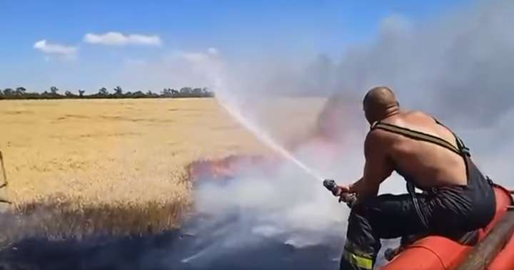 Рашисти палять поля з хлібом (відео)