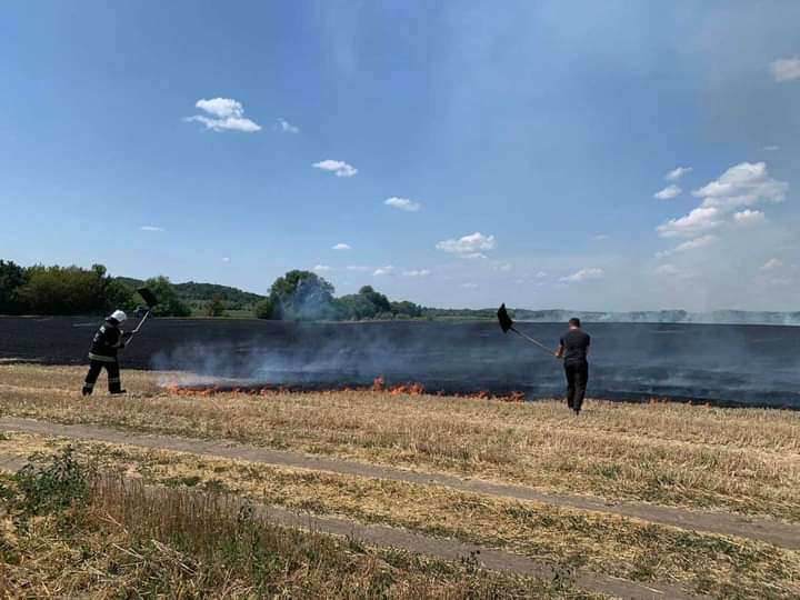 Через випалювання стерні, згоріли 17 гектарів землі на Вінниччині